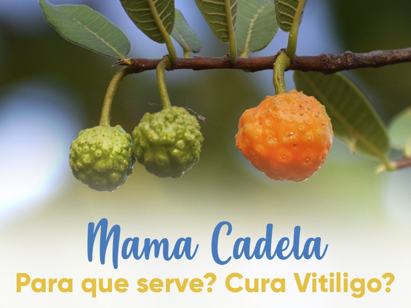 Mama-Cadela: Para que serve? Cura Vitiligo?